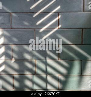 A tile wall in a bathroom with shadows which can be used as a background. Stock Photo