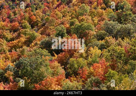 Hillside brilliant fall foliage, Adirondacks, New York Stock Photo - Alamy
