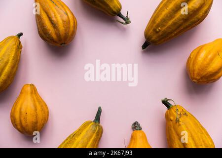 A variety of different autumnal gourds on a pink background Stock Photo
