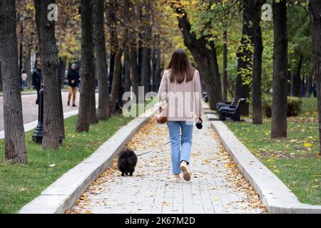 Girl in jacket and jeans walking dog in autumn park. Pets care, leisure on city Stock Photo