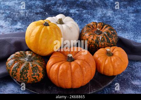 6 Mini Pumpkins and Gourds on dark plate with dark background Stock Photo