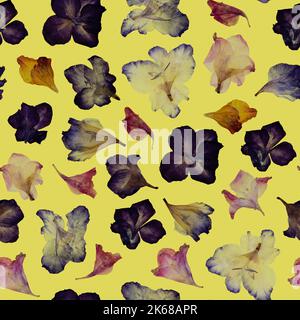 Seamless floral pattern. A group of various dried pressed flowers on yellow background. Stock Photo