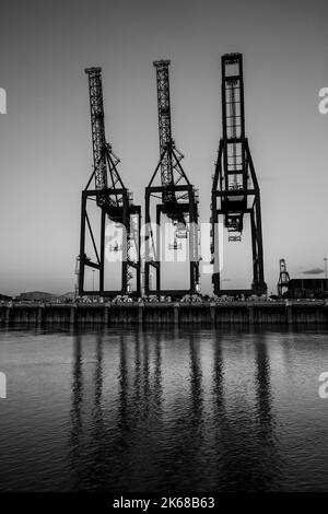 Tilbury port container gantry cranes Stock Photo