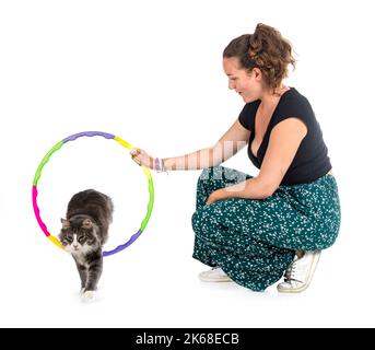 Norwegian Forest cat and woman in front of white background Stock Photo