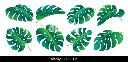 Monstera Deliciosa leaf icon set. Spring hawaiian philodendron foliage. Different shape single leaves isolated on white background. Floral design element. Green gradient tropical exotic plant branch Stock Vector