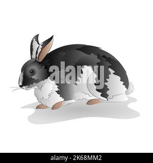 Mottled black and white rabbit vector Stock Vector