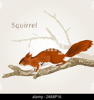 Squirrel on an old tree vector Stock Vector