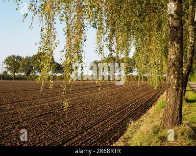 autumn time in westphalia Stock Photo