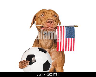 American Football Concept Dog Usa Flag Stock Photo 1509597848