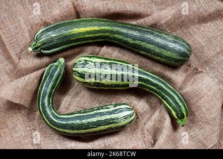 Fresh striped zucchini on sackcloth background. Rustic style Stock Photo