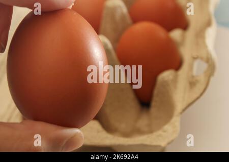 Chicken egg in hand close-up against the background of eco-friendly cardboard packaging. Healthy food concept. Ecology concept. Stock Photo