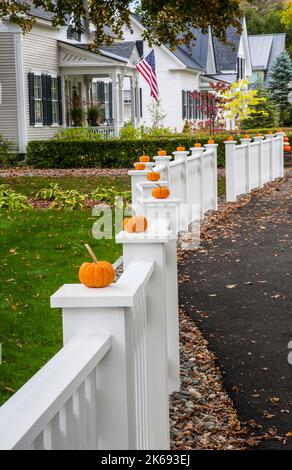 Autumn Mini pumpkins on white picket fence and garden walkway, Woodstock, Vermont, VT USA US New England Halloween Oct 2022 Stock Photo