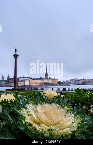 Stockholm,  Sweden - 30 12 2020: View of the City Hall (Rådhuset) with flower in background. Daylight. Stock Photo