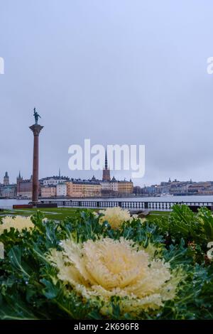 Stockholm,  Sweden - 30 12 2020: View of the City Hall (Rådhuset) with flower in background. Daylight. Stock Photo