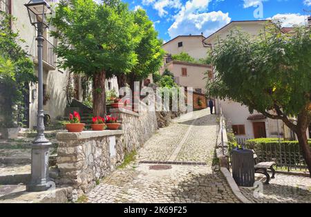 Clay pots and vases with plants and flowers in the courtyard of a medieval Italian village, streets of an Italian town Stock Photo