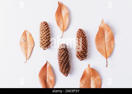 Dried brown leaves and pine cone on white background. Autumn concept. Top view, flat lay. Stock Photo