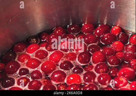 Cranberries cooking on a stovetop in a stainless steel pot making homemade cranberry sauce. Stock Photo