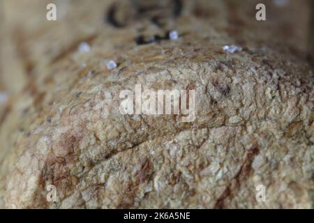 Cork texture, cork board background close up Stock Photo