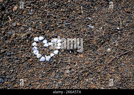 lovely heart made of seashells on a shore made of lava rocks Stock Photo