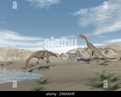 Two Compsognathus dinosaurs drinking water in the desert. Stock Photo