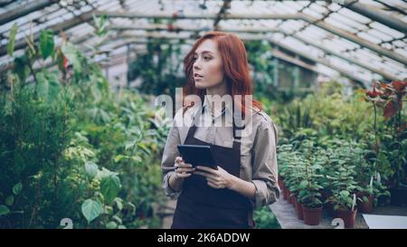 Young confident entrepreneur hothouse owner is doing inventory in greenhouse counting plants and entering information in tablet. Attractive woman is busy checking greenery. Stock Photo