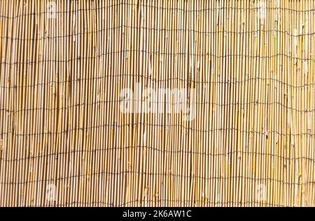 Bamboo dry yellow vertical straw background, texture. Nature plant material, stick lines surface, tablecloth, wallpaper, backdrop. Empty, copy space Stock Photo