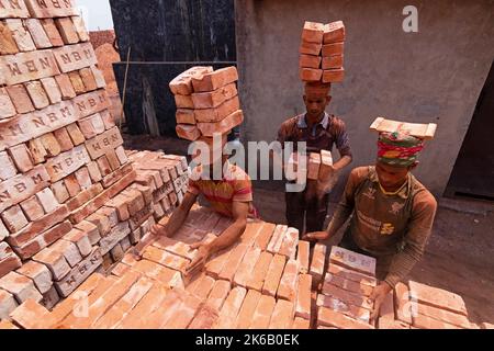 Dhaka, Dhaka, Bangladesh. 13th Oct, 2022. Workers in Dhaka, Bangladesh, carry piles of bricks weighing more than 15 kg on their heads as they are laid out ahead of being baked in a kiln. The labourers ''“ who are paid less than Â£1 a shift ''“ move up to 1,500 bricks a day in sweltering conditions. Around 4, 00,000 low-income migrants arrive in Dhaka from different parts of the country every year to work at brickfields. Long working hours under the scorching sun in the brick fields, massive accumulation of dust, the risk of falling from the trucks and piles of bricks, and carrying excessive l  Stock Photo