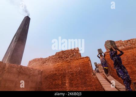 Dhaka, Dhaka, Bangladesh. 13th Oct, 2022. Workers in Dhaka, Bangladesh, carry piles of bricks weighing more than 15 kg on their heads as they are laid out ahead of being baked in a kiln. The labourers ''“ who are paid less than Â£1 a shift ''“ move up to 1,500 bricks a day in sweltering conditions. Around 4, 00,000 low-income migrants arrive in Dhaka from different parts of the country every year to work at brickfields. Long working hours under the scorching sun in the brick fields, massive accumulation of dust, the risk of falling from the trucks and piles of bricks, and carrying excessive l  Stock Photo