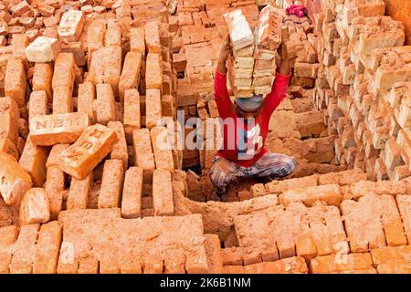 Dhaka, Dhaka, Bangladesh. 13th Oct, 2022. Workers in Dhaka, Bangladesh, carry piles of bricks weighing more than 15 kg on their heads as they are laid out ahead of being baked in a kiln. The labourers ''“ who are paid less than Â£1 a shift ''“ move up to 1,500 bricks a day in sweltering conditions. Around 4, 00,000 low-income migrants arrive in Dhaka from different parts of the country every year to work at brickfields. Long working hours under the scorching sun in the brick fields, massive accumulation of dust, the risk of falling from the trucks and piles of bricks, and carrying excessive l  Stock Photo