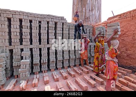 Dhaka, Dhaka, Bangladesh. 13th Oct, 2022. Workers in Dhaka, Bangladesh, carry piles of bricks weighing more than 15 kg on their heads as they are laid out ahead of being baked in a kiln. The labourers ''“ who are paid less than Â£1 a shift ''“ move up to 1,500 bricks a day in sweltering conditions. Around 4, 00,000 low-income migrants arrive in Dhaka from different parts of the country every year to work at brickfields. Long working hours under the scorching sun in the brick fields, massive accumulation of dust, the risk of falling from the trucks and piles of bricks, and carrying excessive l  Stock Photo