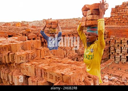 Dhaka, Dhaka, Bangladesh. 13th Oct, 2022. Workers in Dhaka, Bangladesh, carry piles of bricks weighing more than 15 kg on their heads as they are laid out ahead of being baked in a kiln. The labourers ''“ who are paid less than Â£1 a shift ''“ move up to 1,500 bricks a day in sweltering conditions. Around 4, 00,000 low-income migrants arrive in Dhaka from different parts of the country every year to work at brickfields. Long working hours under the scorching sun in the brick fields, massive accumulation of dust, the risk of falling from the trucks and piles of bricks, and carrying excessive l  Stock Photo
