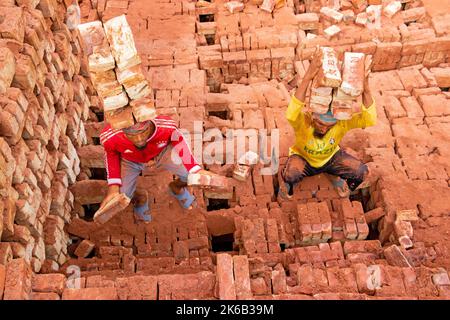 Dhaka, Dhaka, Bangladesh. 13th Oct, 2022. Workers in Dhaka, Bangladesh, carry piles of bricks weighing more than 15 kg on their heads as they are laid out ahead of being baked in a kiln. The labourers ''“ who are paid less than Â£1 a shift ''“ move up to 1,500 bricks a day in sweltering conditions. Around 4, 00,000 low-income migrants arrive in Dhaka from different parts of the country every year to work at brickfields. Long working hours under the scorching sun in the brick fields, massive accumulation of dust, the risk of falling from the trucks and piles of bricks, and carrying excessive l  Stock Photo