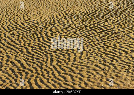 The receeding waters on a tidal sandy beach has left a pattern of minaiture dunes on the beach. The force of water and wind act in a similar fashion t Stock Photo