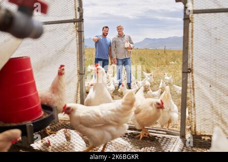 Collaborating on their thriving farm. two men working together on a poultry farm. Stock Photo