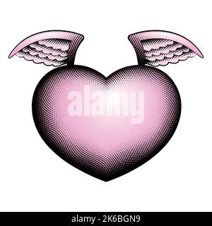 Illustration of Scratchboard Engraved Angel Heart with Pink Fill isolated on a White Background Stock Vector