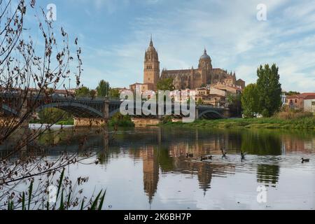 Cathedral of Salamanca at night view from the Tormes River, Salamanca City, Spain, Europe. Stock Photo