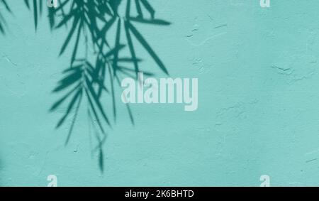 Natural shadows of the tropical plant on building facade. Turquoise vintage wall and silhouettes of foliage. Space for text Stock Photo