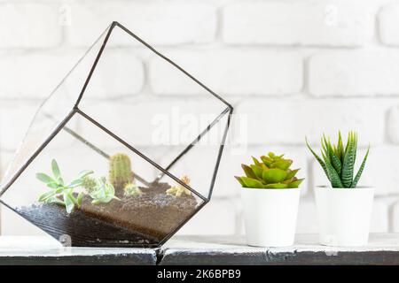 House plants in pots on white table at white brick wall with objects Stock Photo