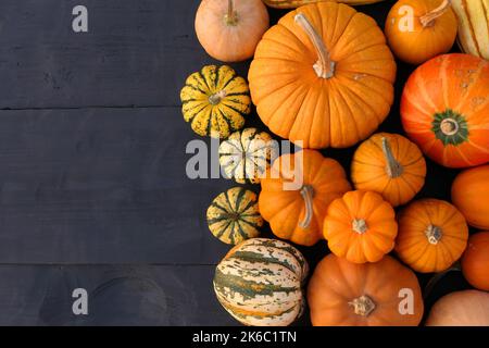Pumpkins varieties background. Autumn orange pumpkins and squashes. Stock Photo