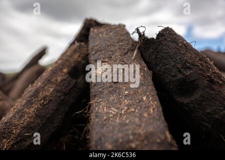 Machine-cut turf is drying in the vast landscape of north-west Ireland. Stock Photo
