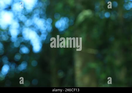 blue and green abstract light nature background Stock Photo