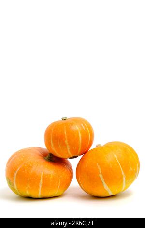 Three pumpkins white background, isolate Stock Photo