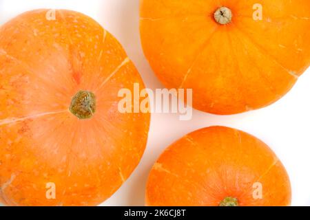 Three pumpkins white background, top view Stock Photo