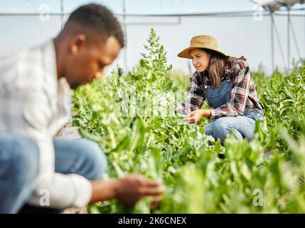 Working together to ensure the success of their farm. two young people working on a farm. Stock Photo