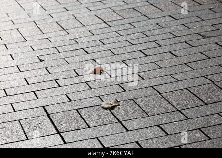 Stone pavement texture, cobbled street in sunlight. Road from tiles for background Stock Photo