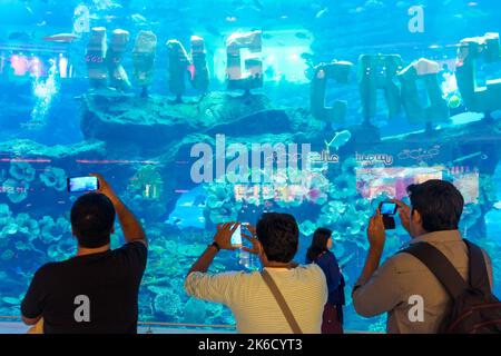 Taking pictures on mobile phone, Dubai Aquarium, part of Dubai Mall, Downtown Dubai, Dubai, United Arab Emirates, UAE Stock Photo