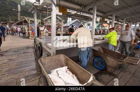 Fishers are cleaning and gutting the catch of the day in Seward, Alaska. Stock Photo