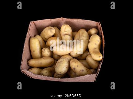 Ratte potato in front of black background Stock Photo