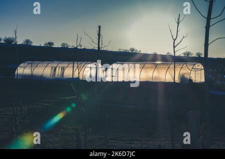 greenhouses with sunlight in winter time Stock Photo