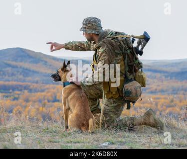 Soldier with a dog. The infantryman shows his dog the direction and gives the task. Stock Photo